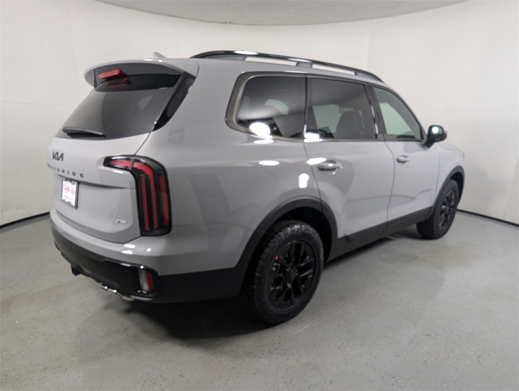 2025 Kia Telluride EX 6