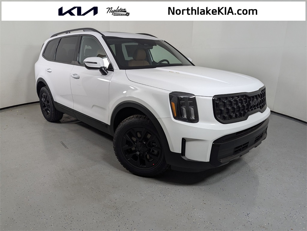 2025 Kia Telluride EX 1