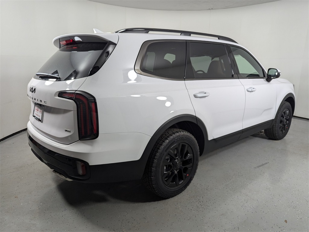 2025 Kia Telluride EX 6