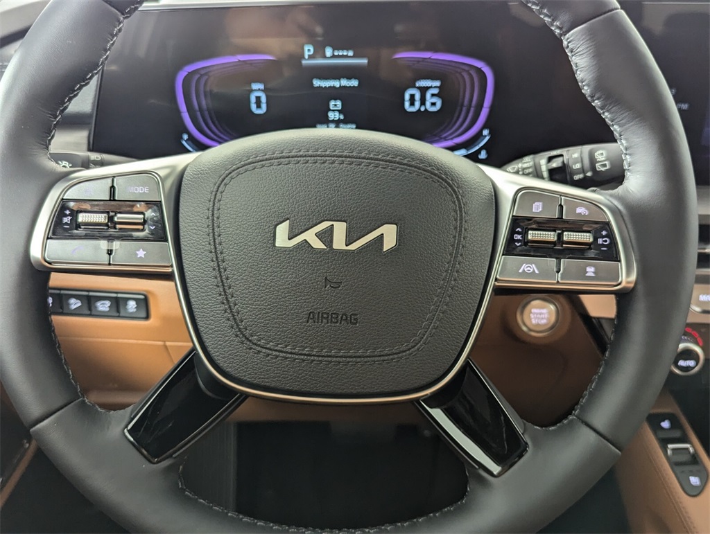 2025 Kia Telluride EX 16