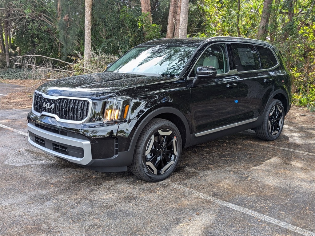 2025 Kia Telluride EX 3