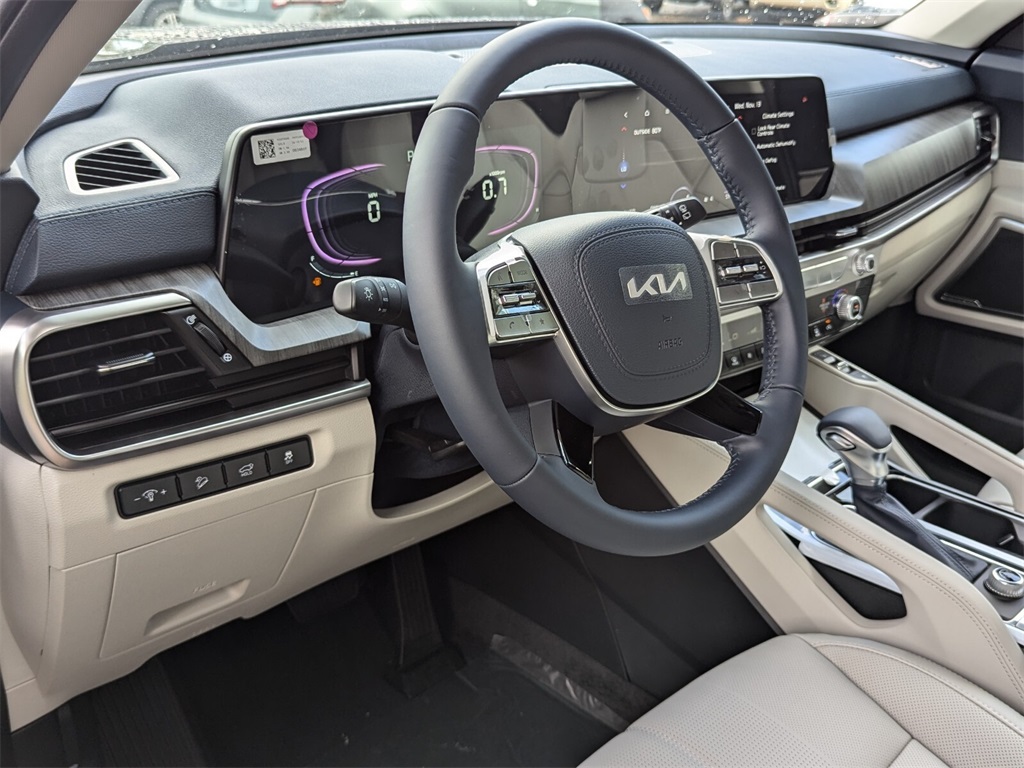 2025 Kia Telluride EX 10