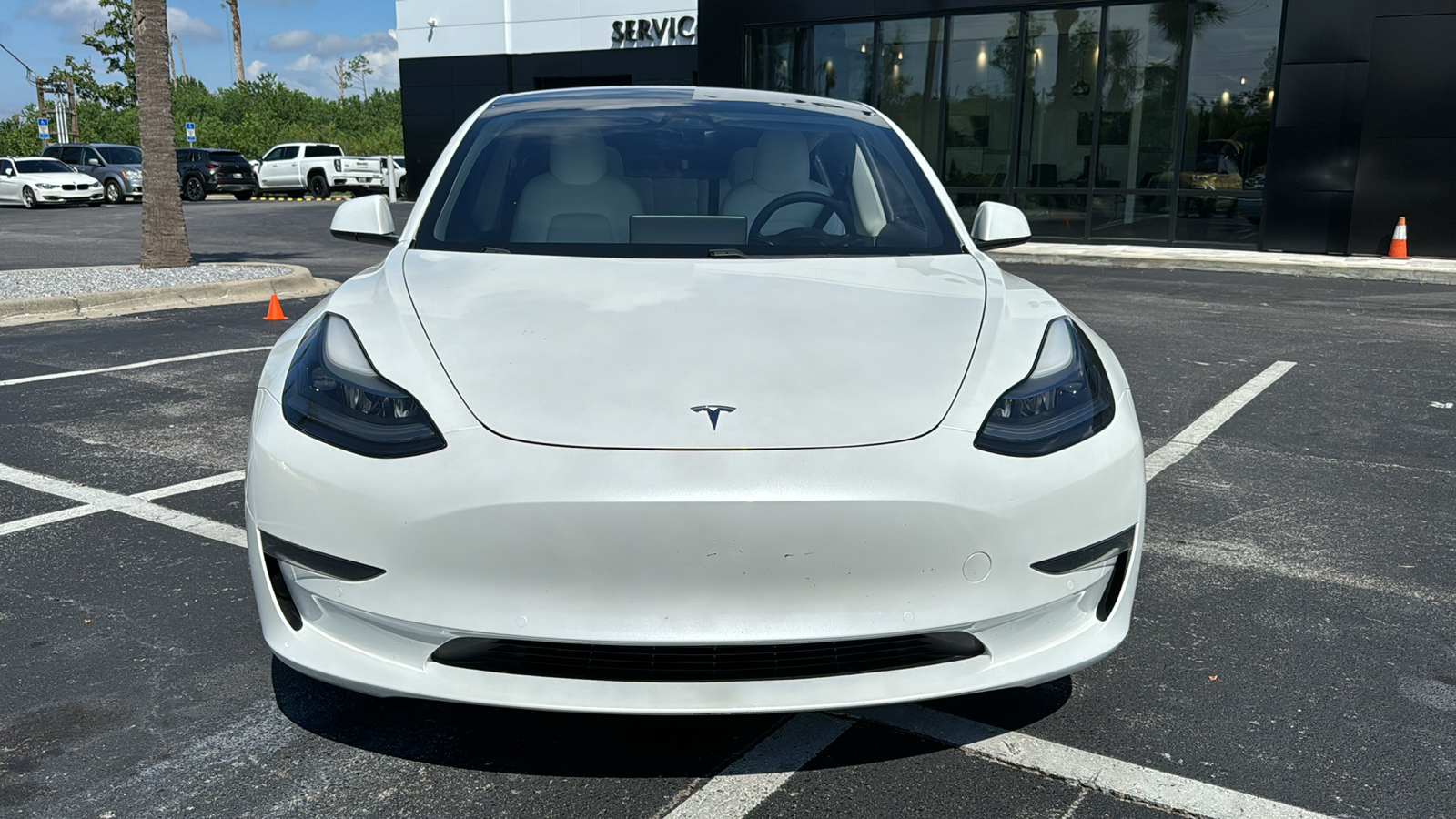 2021 Tesla Model 3 Standard Range Plus 3