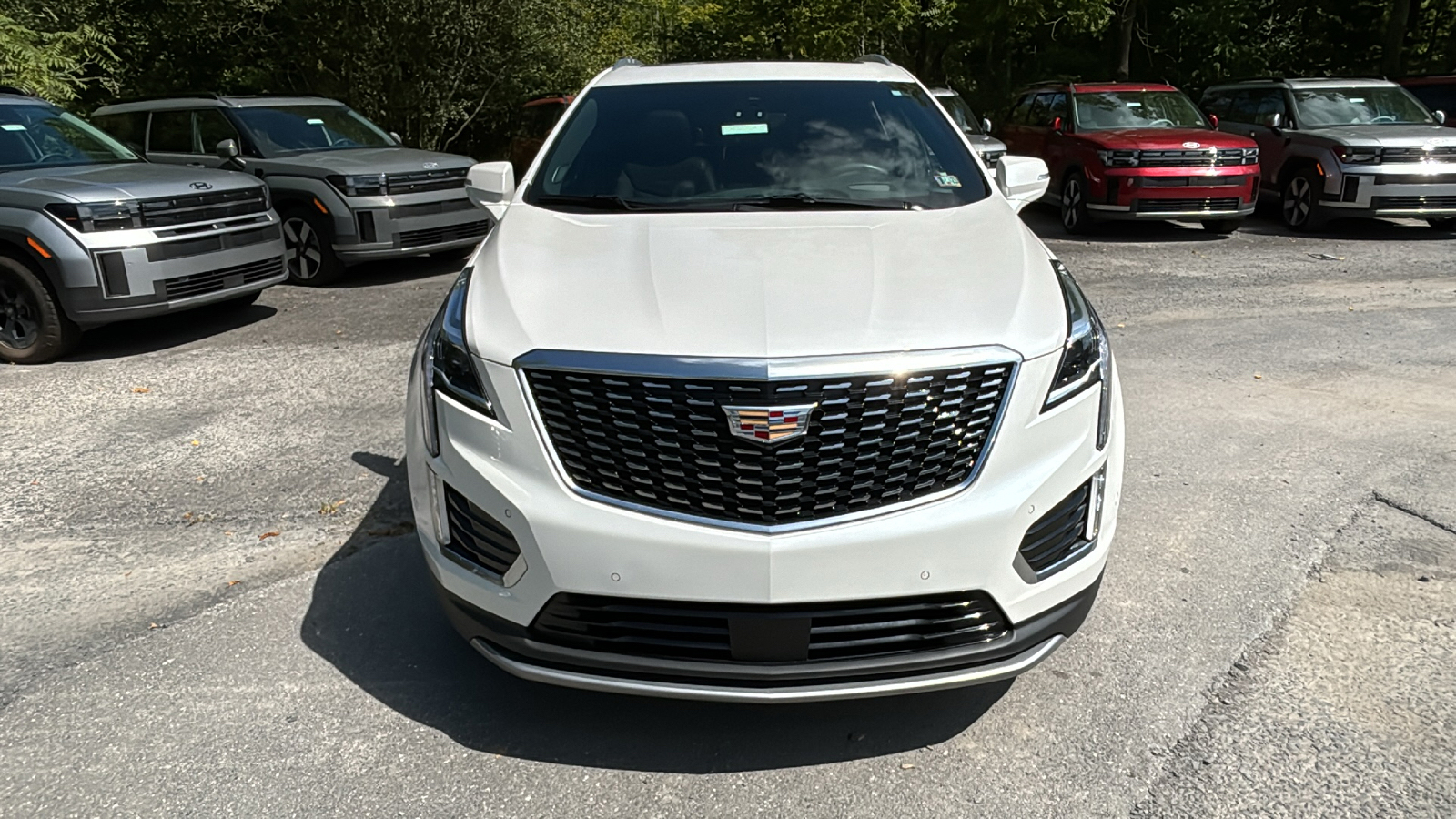 2022 Cadillac XT5 Premium Luxury 2