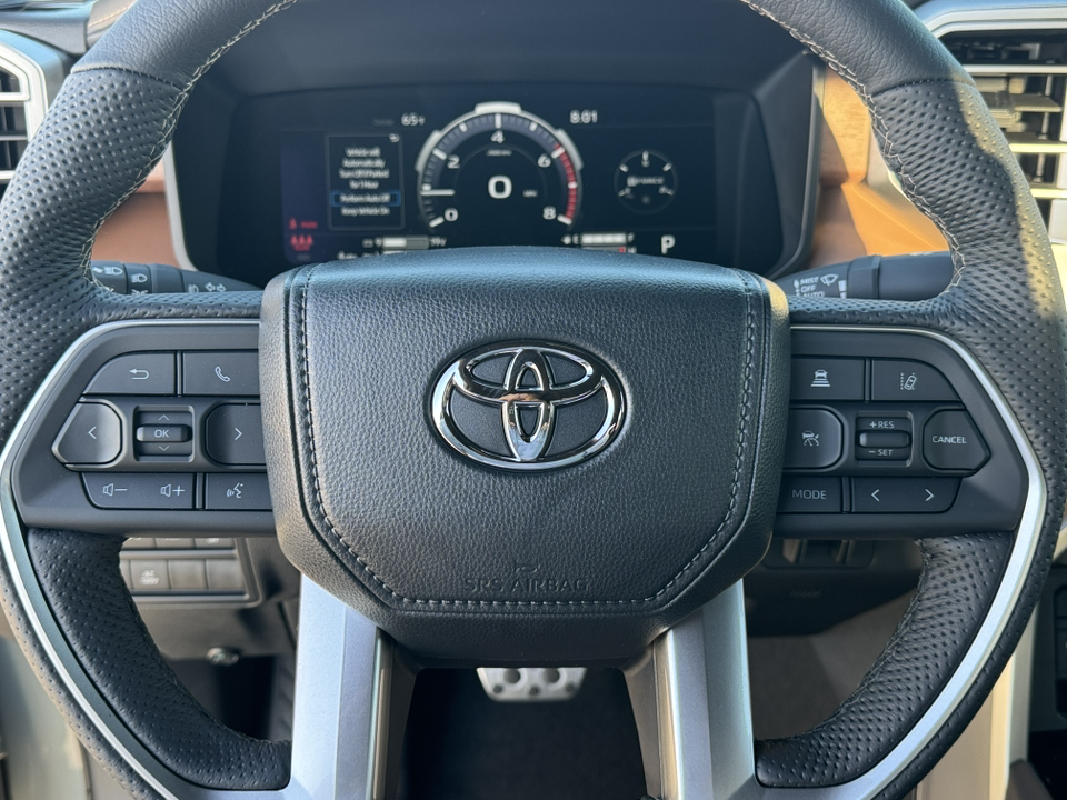 2025 Toyota Tundra 1794 Edition 21