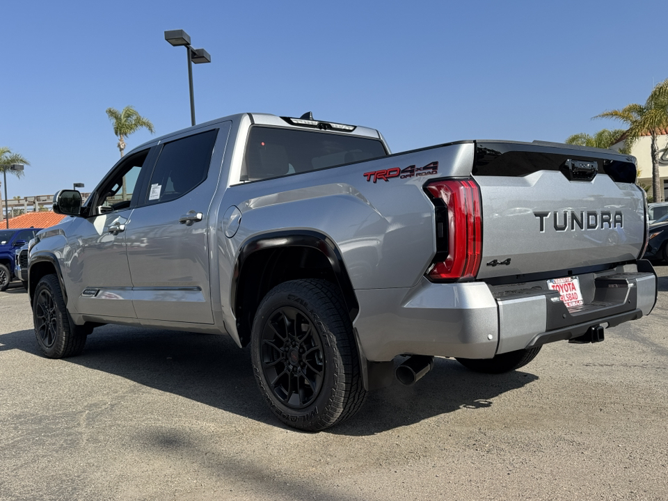 2025 Toyota Tundra Platinum 12