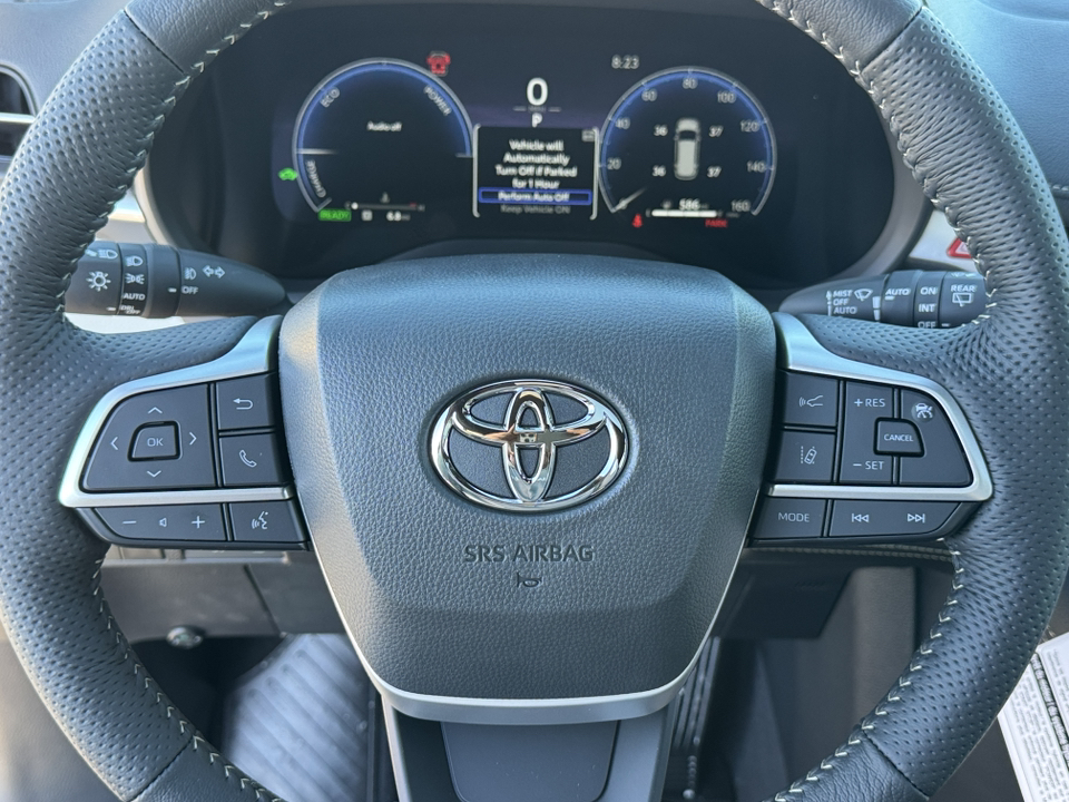 2025 Toyota Sienna Platinum 21