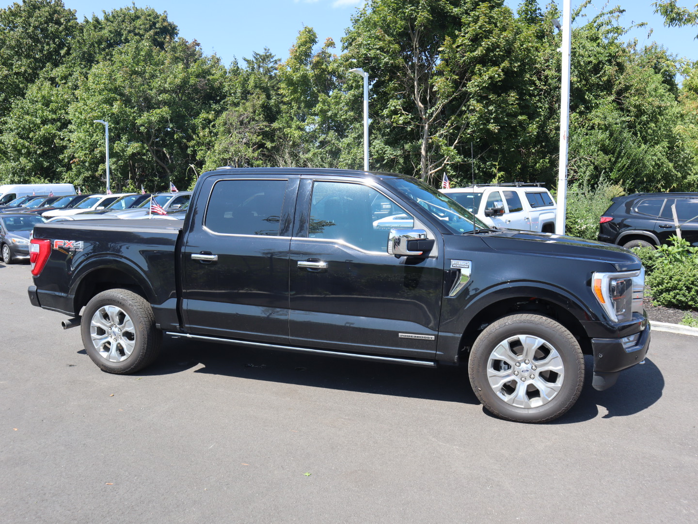 2022 Ford F-150 Platinum 4