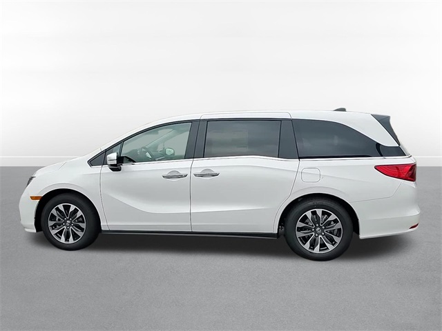 2024 Honda Odyssey EX-L 11