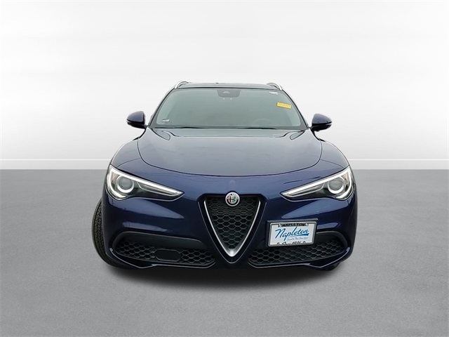 2020 Alfa Romeo Stelvio Base 2