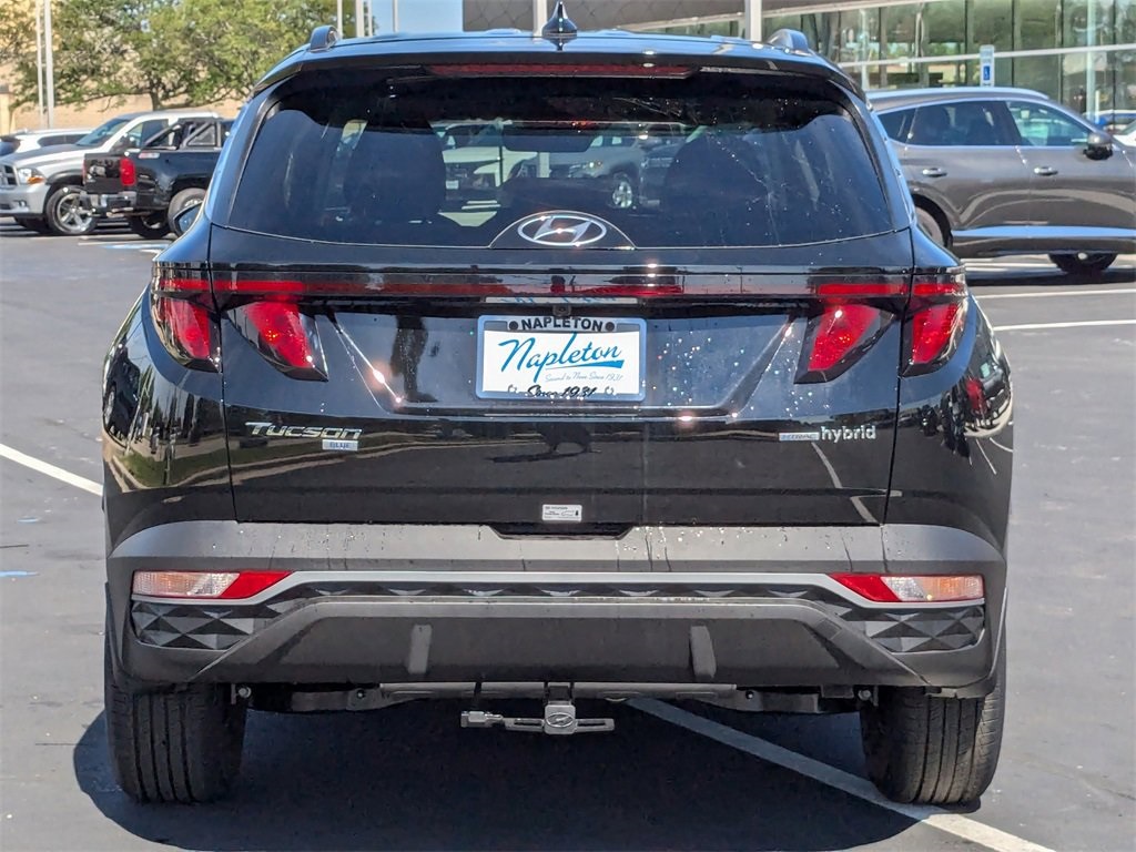 2024 Hyundai Tucson Hybrid Blue 6