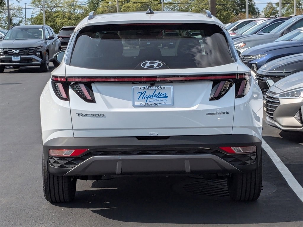 2024 Hyundai Tucson Hybrid Limited 6