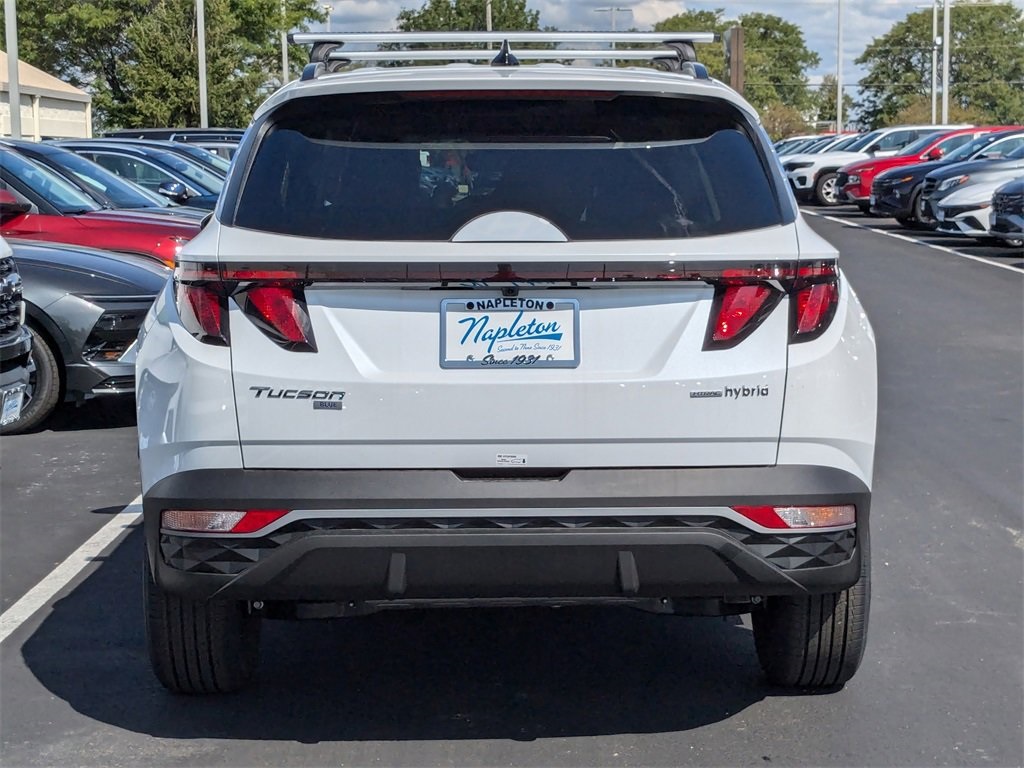 2024 Hyundai Tucson Hybrid Blue 6