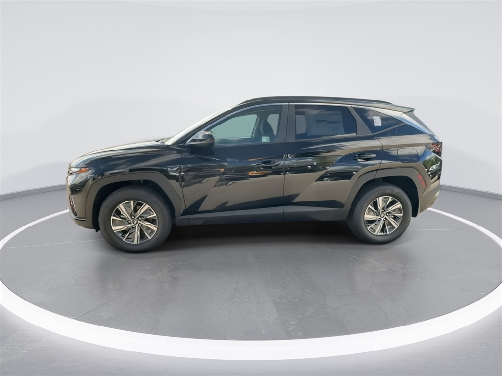 2024 Hyundai Tucson Hybrid Blue 6