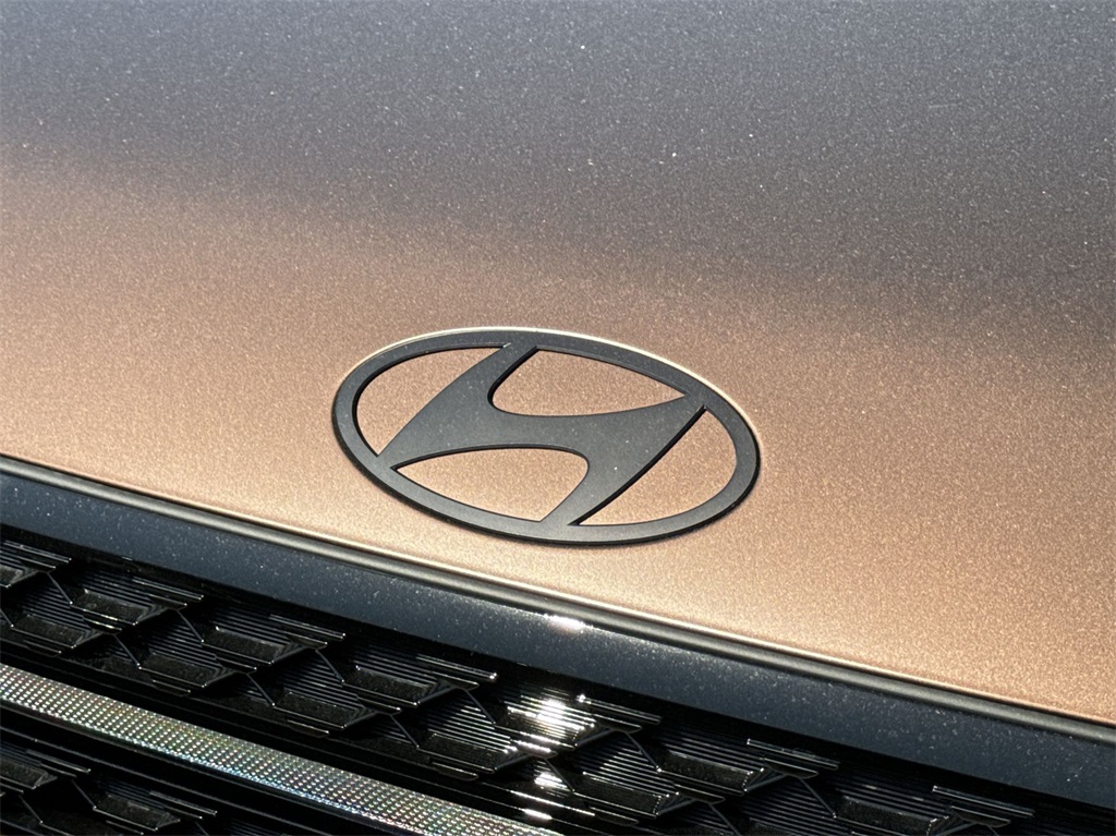 2025 Hyundai Santa Fe Calligraphy 14