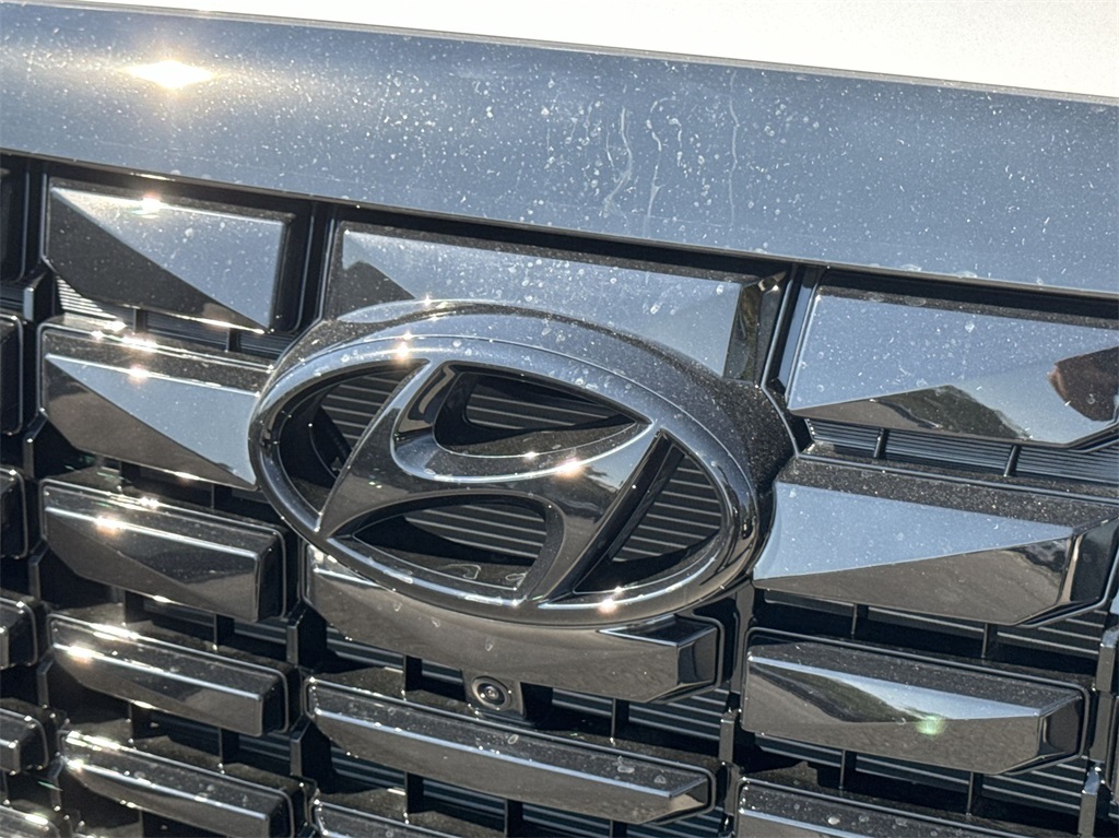 2025 Hyundai Palisade Calligraphy Night Edition 14