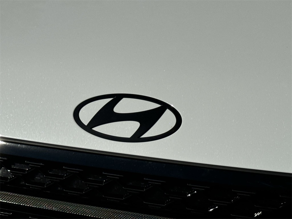 2025 Hyundai Santa Fe Calligraphy 14