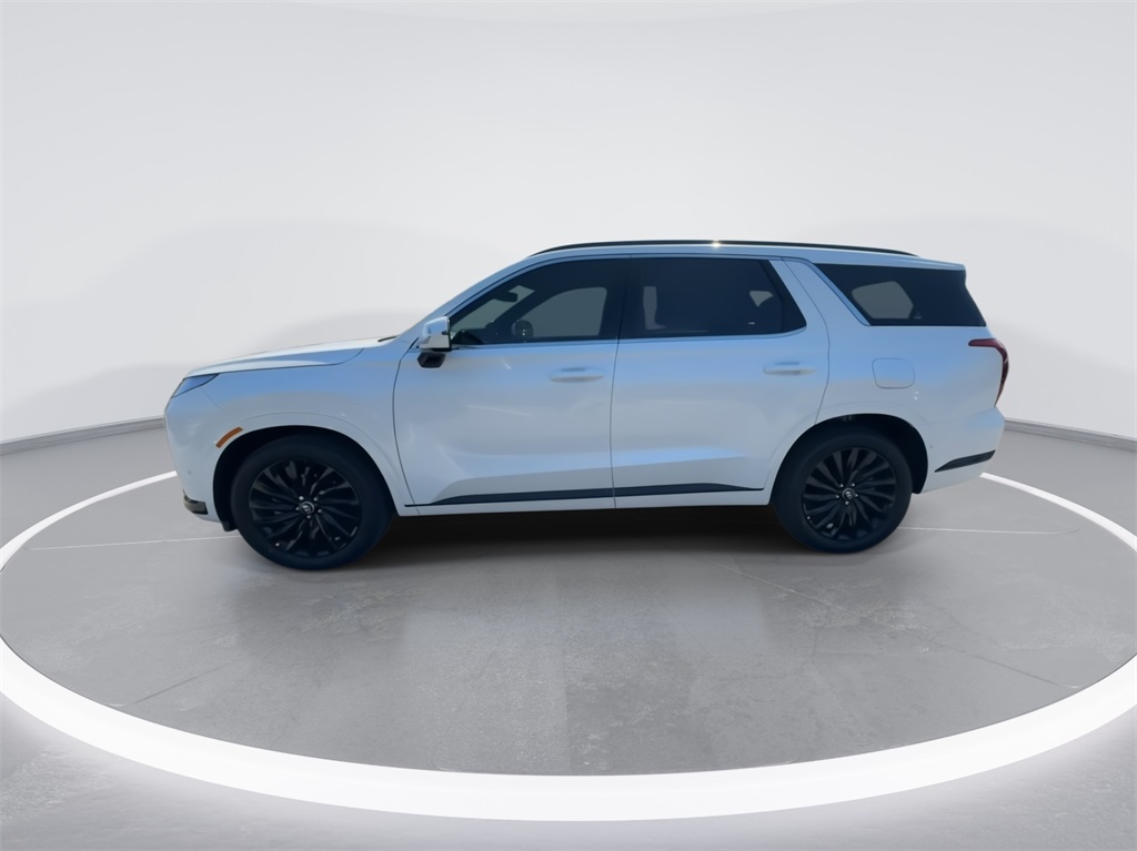 2025 Hyundai Palisade Calligraphy Night Edition 6