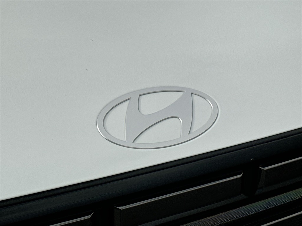 2025 Hyundai Santa Fe Hybrid Limited 14