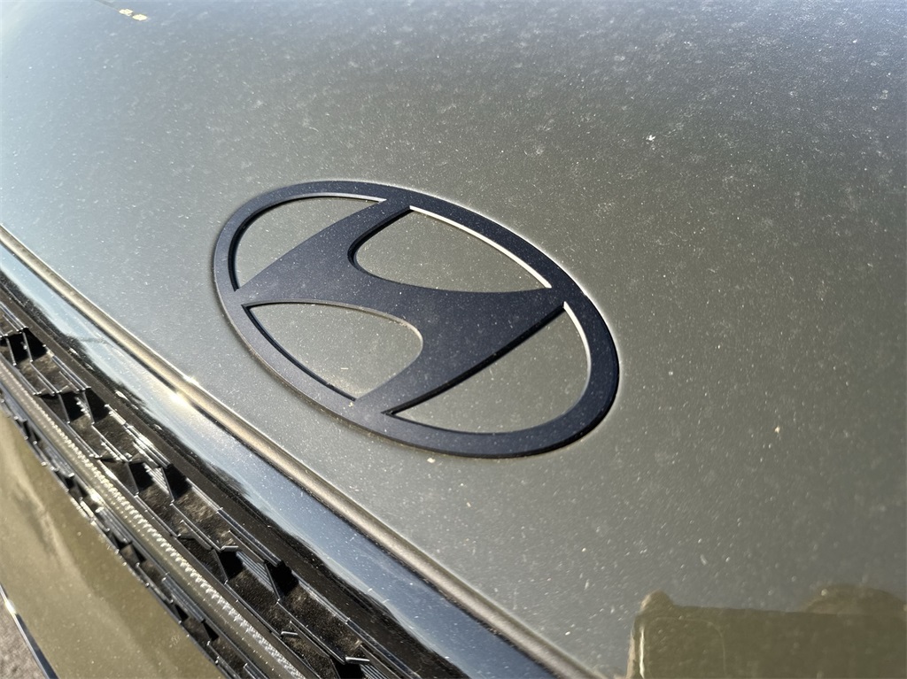 2025 Hyundai Santa Fe Calligraphy 14