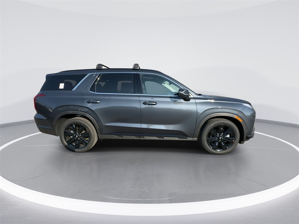 2025 Hyundai Palisade XRT 12