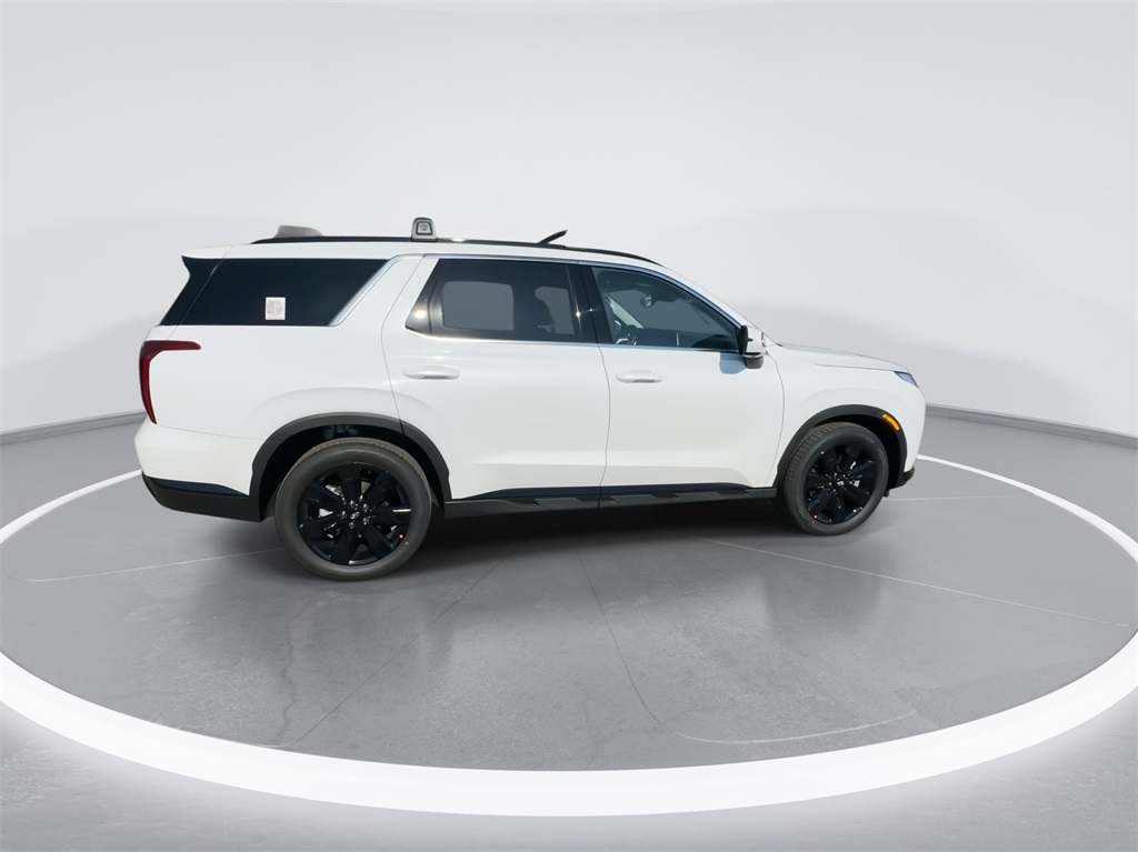 2025 Hyundai Palisade XRT 11