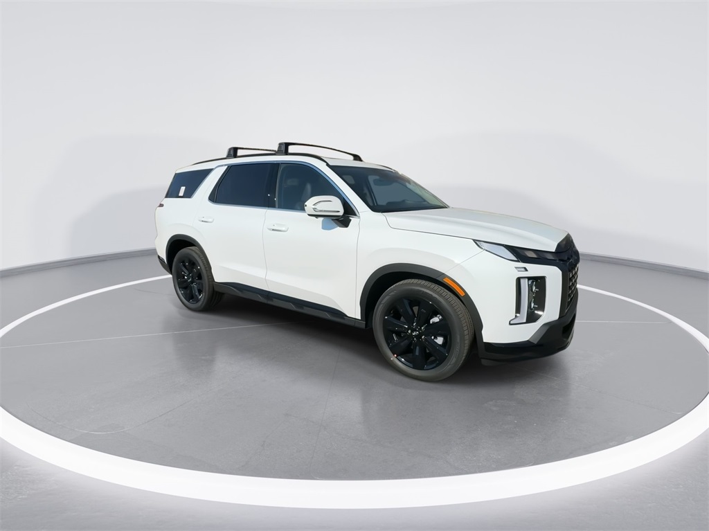 2025 Hyundai Palisade XRT 13