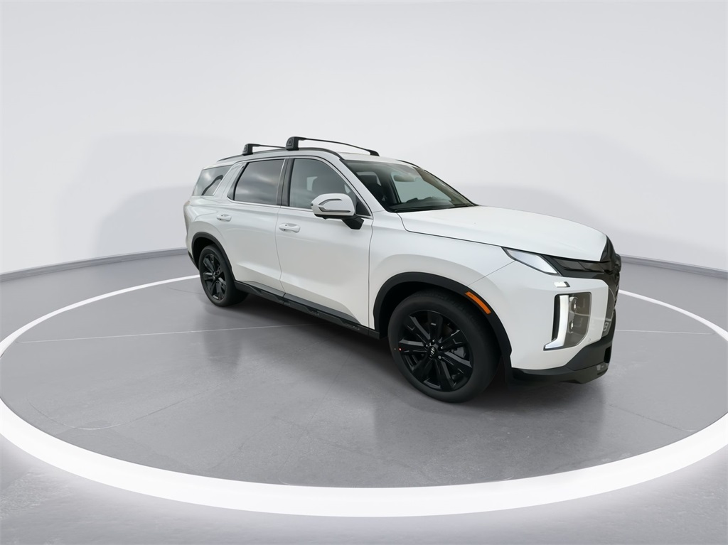 2025 Hyundai Palisade XRT 13