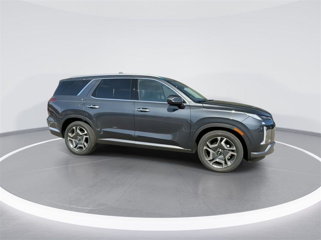 2024 Hyundai Palisade Limited 13