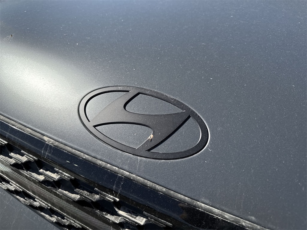 2025 Hyundai Santa Fe Calligraphy 14