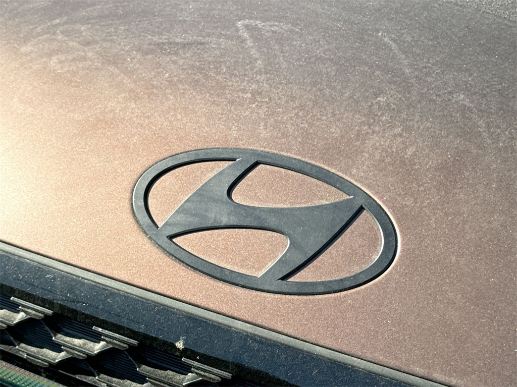 2024 Hyundai Santa Fe Calligraphy 14