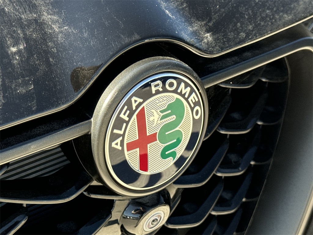 2024 Alfa Romeo Tonale Veloce 14