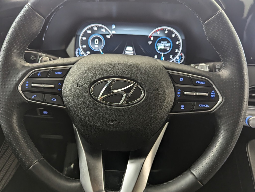 2021 Hyundai Palisade Calligraphy 17