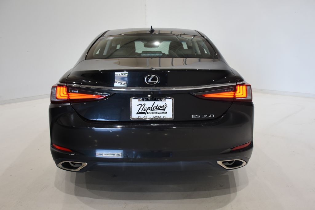 2019 Lexus ES 350 6