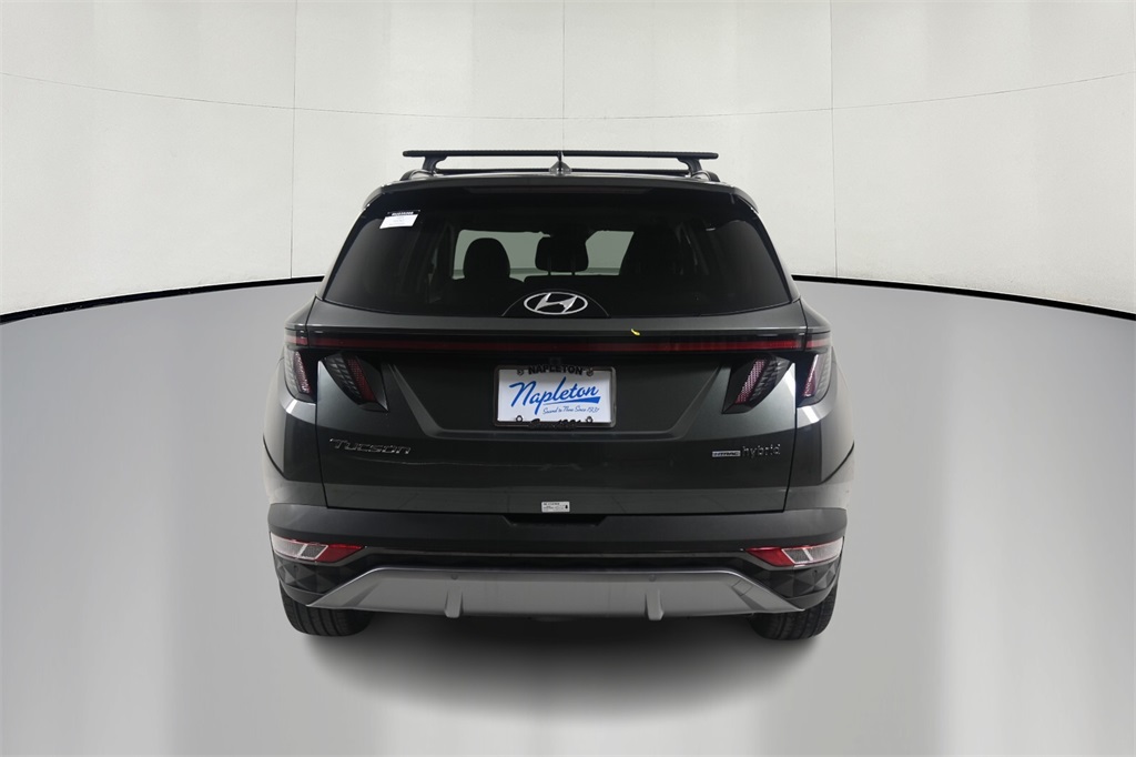 2024 Hyundai Tucson Hybrid Limited 6