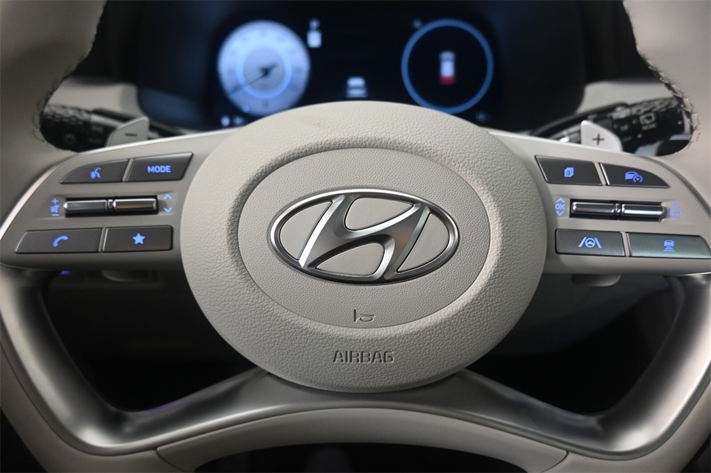 2025 Hyundai Palisade Calligraphy 15