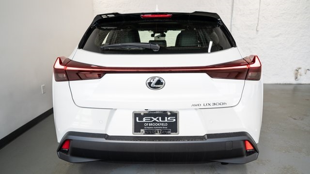 2025 Lexus UX 300h 4