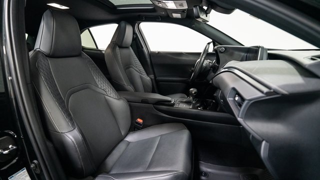 2022 Lexus UX 250h 10