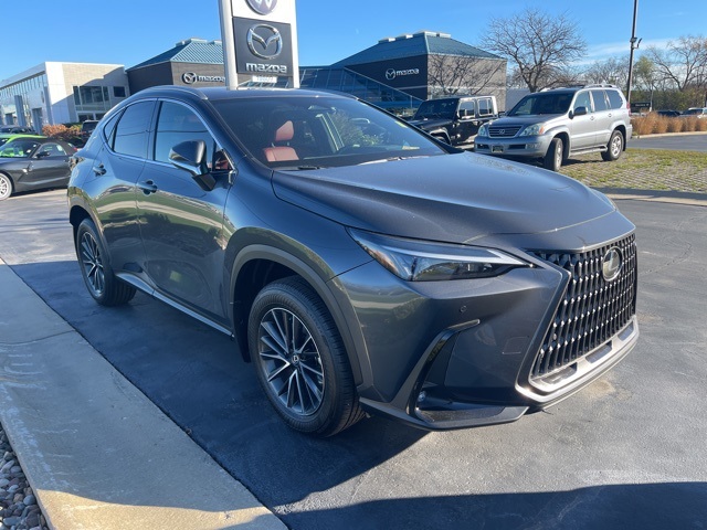 2025 Lexus NX 250 Base 1