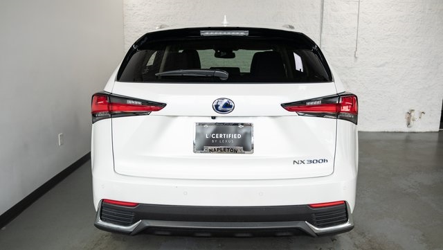 2021 Lexus NX 300h 6