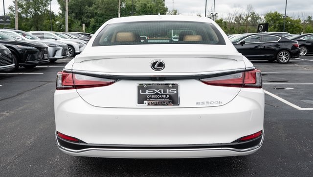 2025 Lexus ES 300h Luxury 5