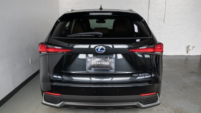 2021 Lexus NX 300h 6