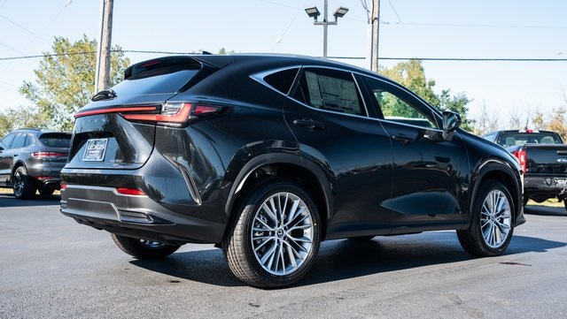 2025 Lexus NX 350 Premium 6