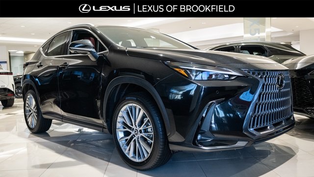 2025 Lexus NX 350h Premium 1