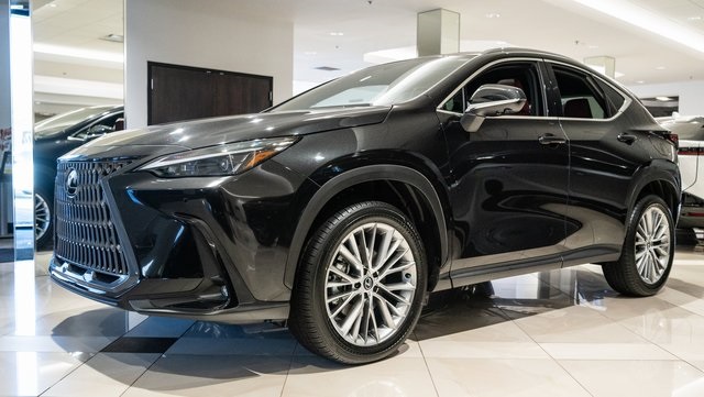 2025 Lexus NX 350h Premium 3