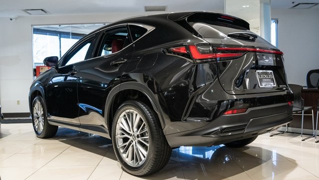 2025 Lexus NX 350h Premium 4