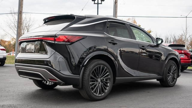 2024 Lexus RX 350 Premium 6