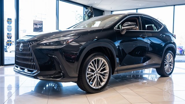 2025 Lexus NX 350h Premium 3