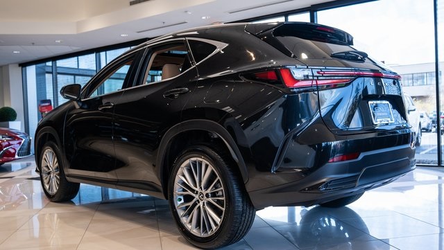 2025 Lexus NX 350h Premium 4