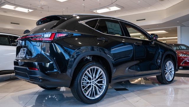 2025 Lexus NX 350h Premium 6